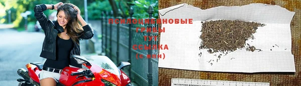 гидропоника Алзамай