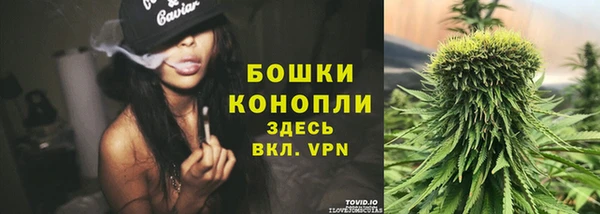 трава Алексин