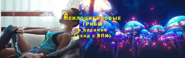 гидропоника Алзамай