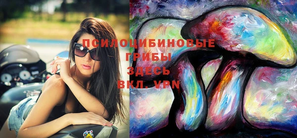 гидропоника Алзамай