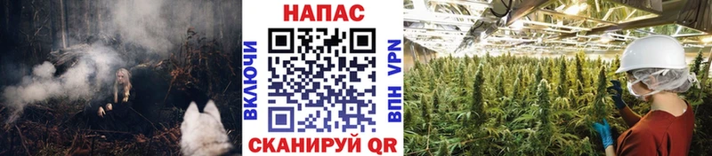 магазин  наркотиков  Махачкала  Каннабис план 